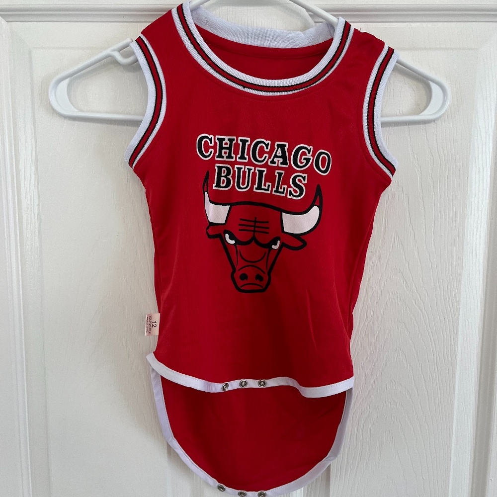 Chicago Bulls Jordan Jersey 12 months
